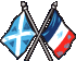 Crossed Flags Logo